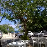 Le Querce *