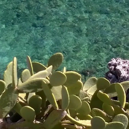 Appartamento Le Querce *